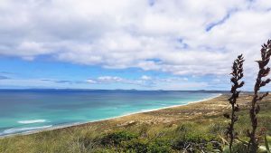 Chatham Islands