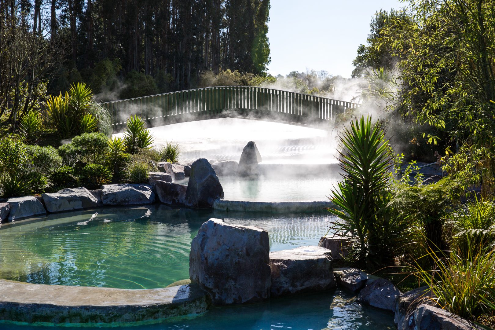 Wairakei Terraces – Hongi NZ